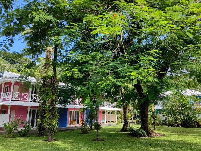 Tortuga Lodge & Gardens By Boeena Tortuguero Bilik gambar